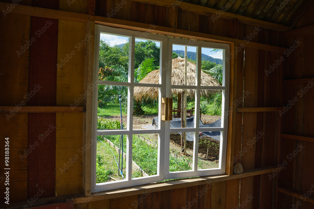 Fototapeta premium wooden window overlook the vegetable garden