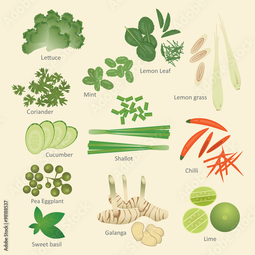 Thai food ingredients vector set