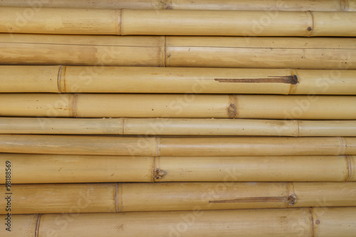 bamboo background  close up bamboo