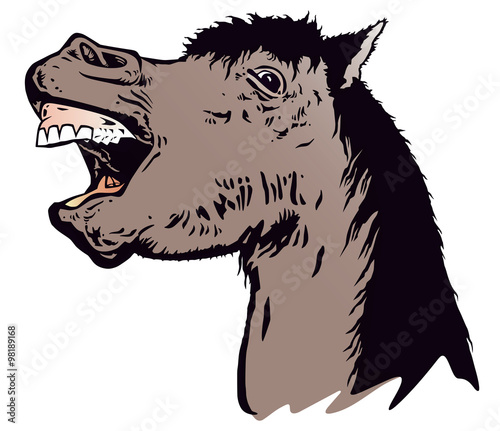 Laughing horse on white background