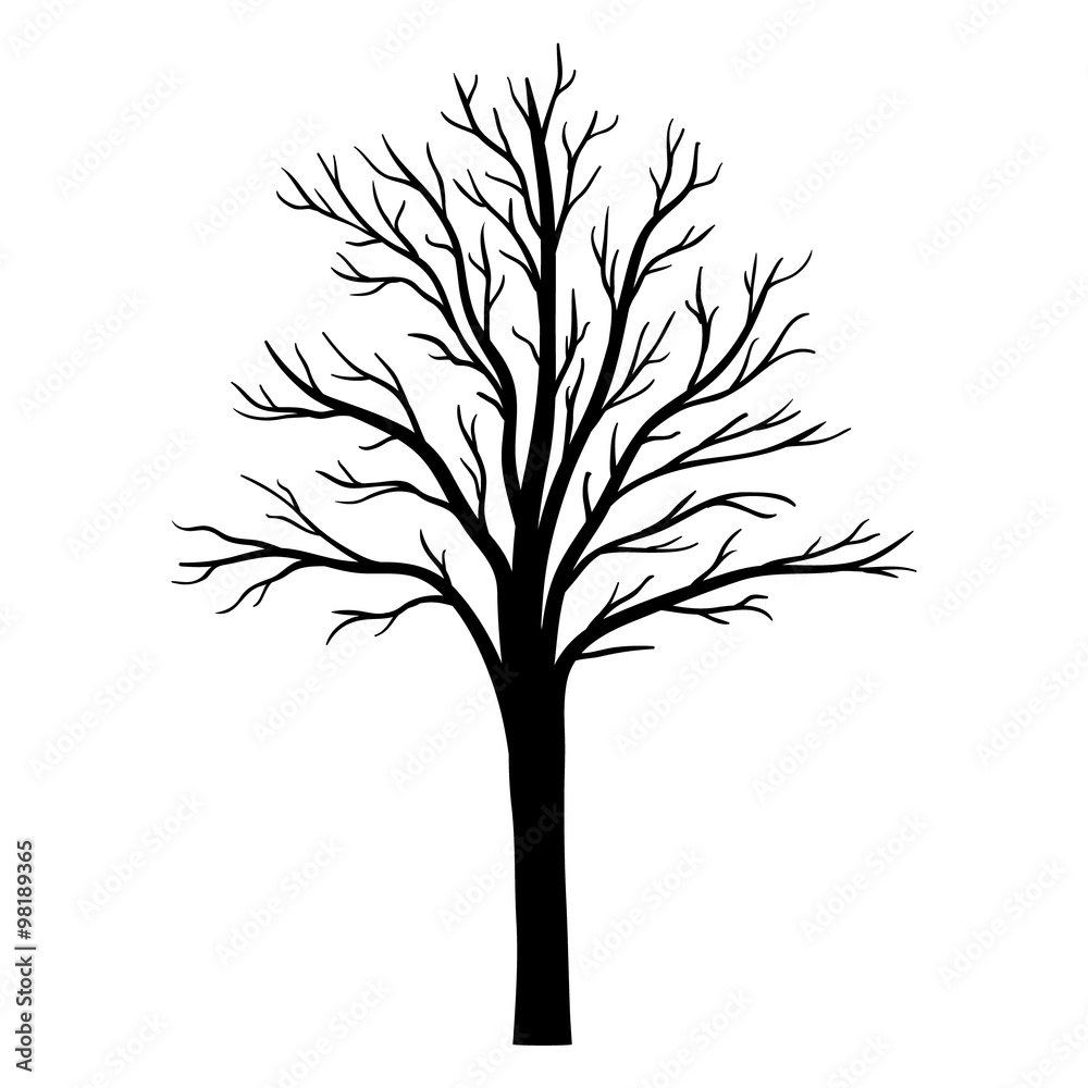 Vector tree silhouette Vector tree silhouette