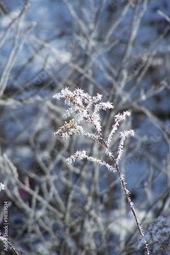   bergang Herbst in den Winter