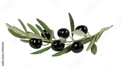 olive branch with black olives on white background isolated