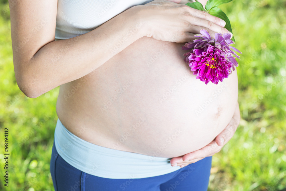 Pregnant woman belly Pregnant woman belly