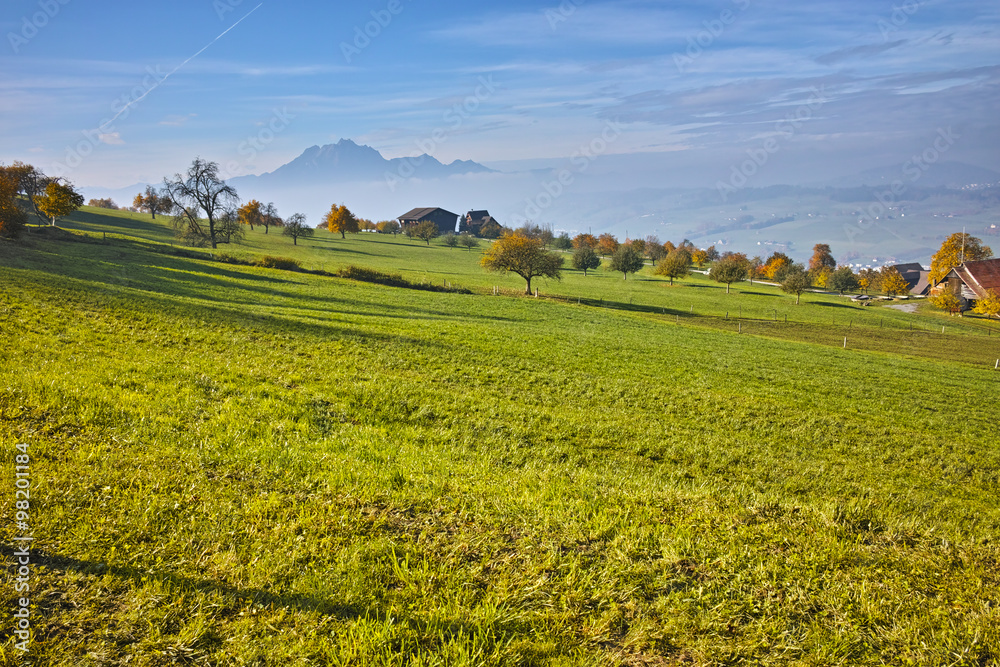 Green meadows above Lake Lucerne, near mount Rigi, Alps, Switzerland