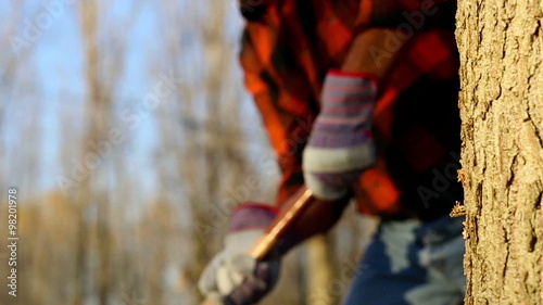 Slow motion of senior lumberjack cutting tree with axe in the forest