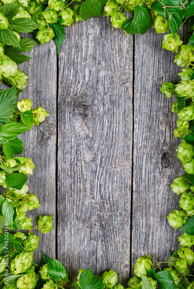 Wooden background with fresh green hop frame Wooden background with fresh green hop frame