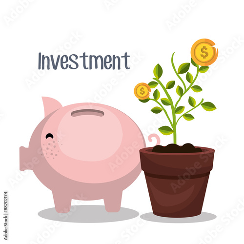 Money savings and investments 