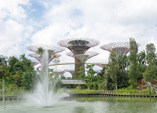 supertree grove in garden by the bay - singapore