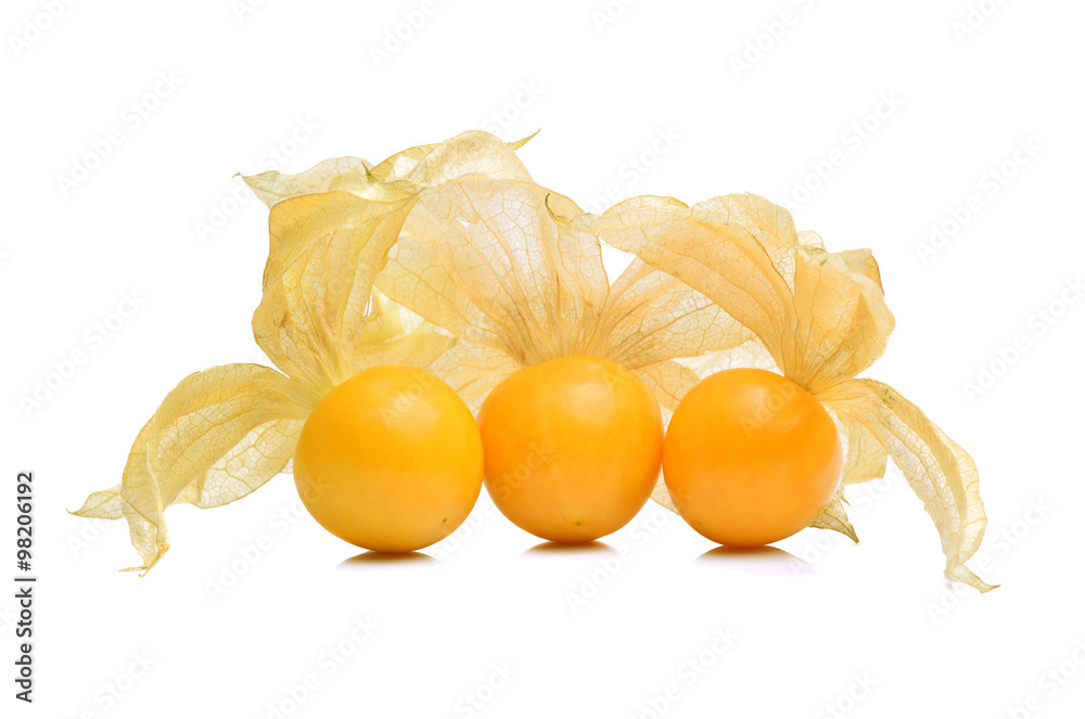 Cape gooseberry (physalis) isolated on white background Cape gooseberry (physalis) isolated on white background