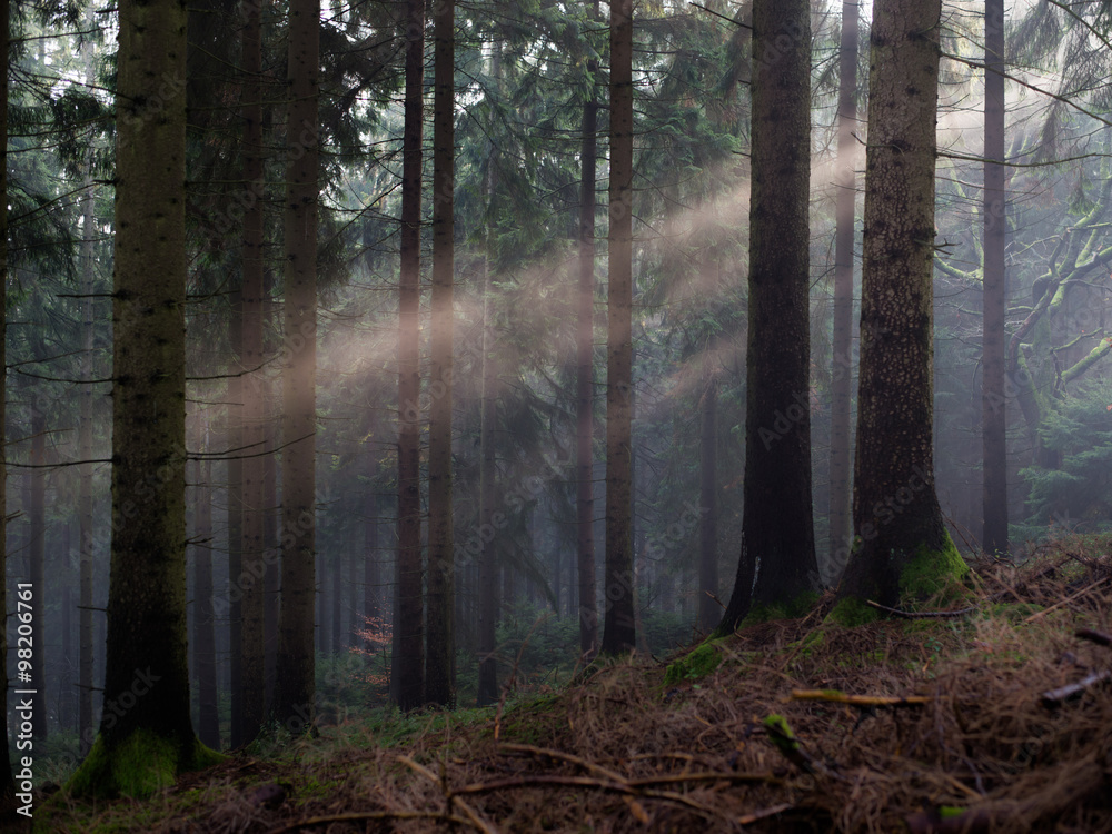 Light Beam
