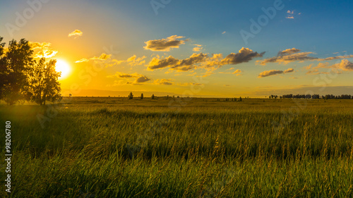 Закат солнца в полях Сибири, Россия photo