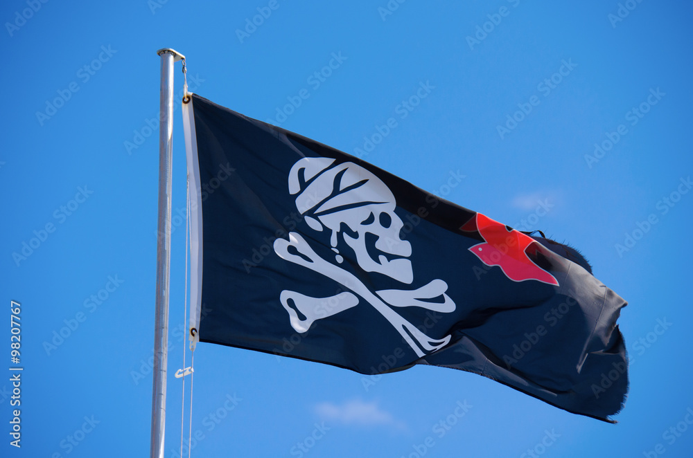 Caribbean Pirate Jack Sparrow Flag Jolly Roger Skull Crossbones waving