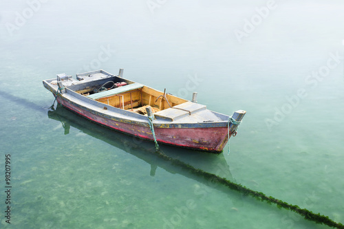 Old weathered wooden boat moored in greenish water. © tonyv3112