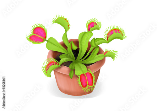 Venus flytrap plant in a pot. Dionaea muscipula drawing, an illustration in bright colors.