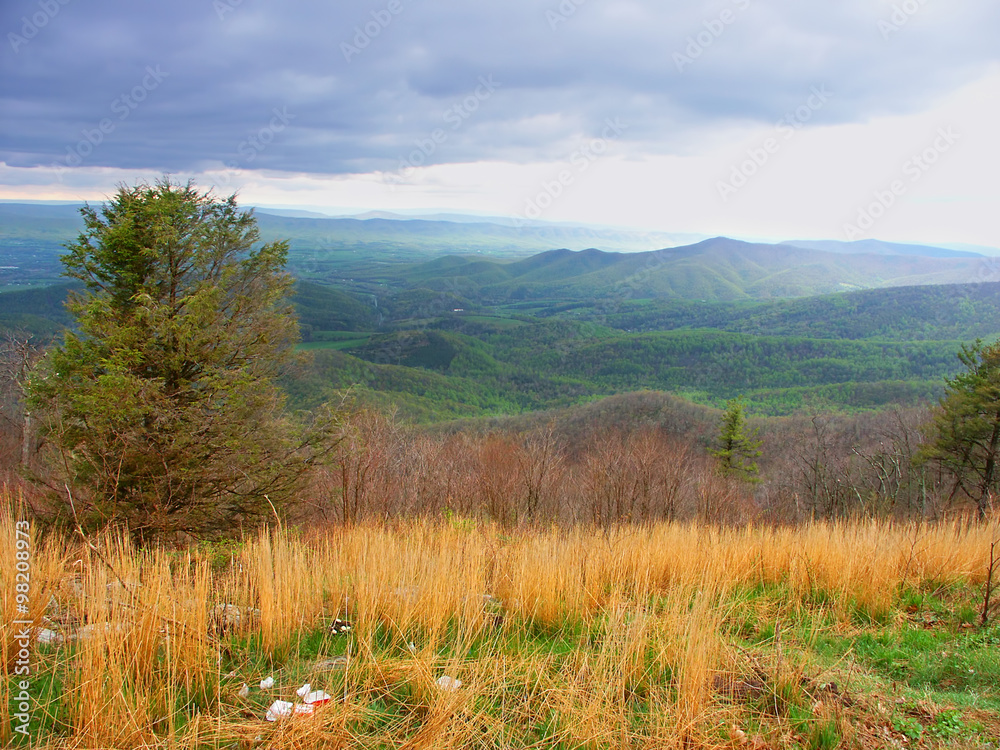 Hilly landscape of Shenandoah National Park in Virginia seen from Skyline Drive