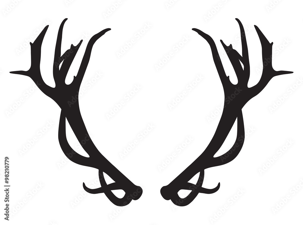 Fototapeta premium black silhouette of deer antlers