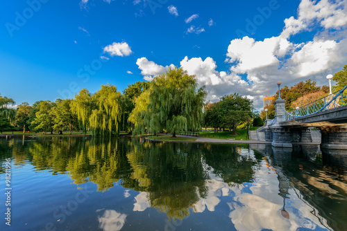 Weeping willow trees and a pond in the Boston Public Garden