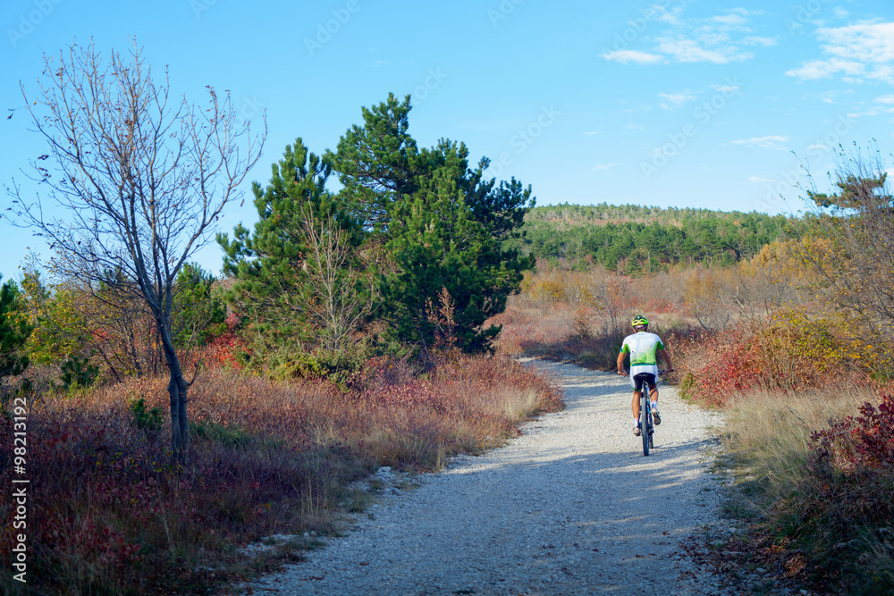 Obraz premium Mountain Bike cyclist