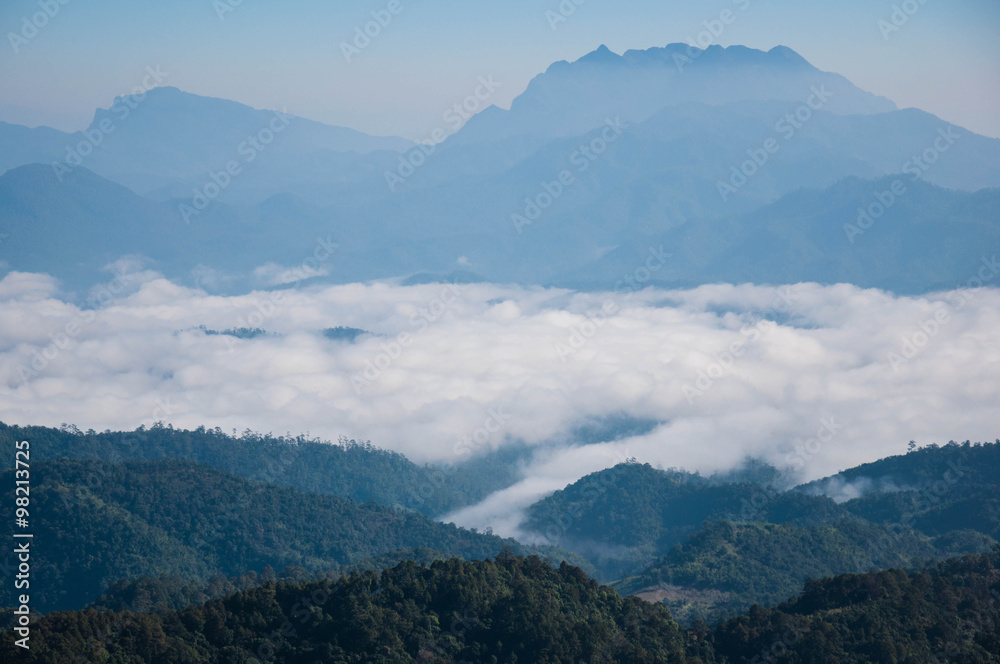 Fototapeta premium Sea of Mist