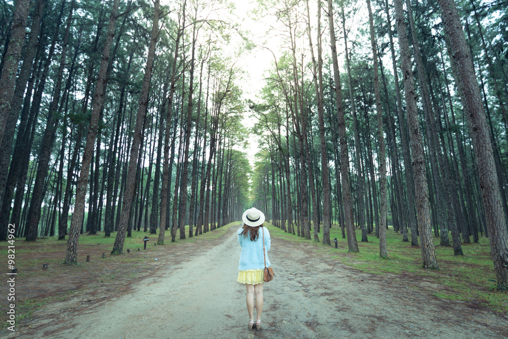 Obraz premium Lady is traveling into pine tree (Suan Son Bor Kaew) in Chiangmai province.