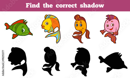 Find the correct shadow (fish)
