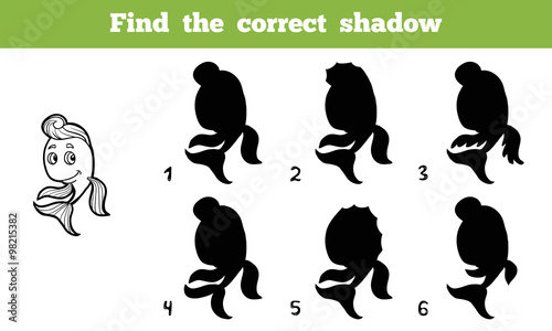 Find the correct shadow (fish)