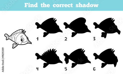 Find the correct shadow (fish)