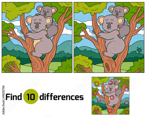 Find differences (koala)