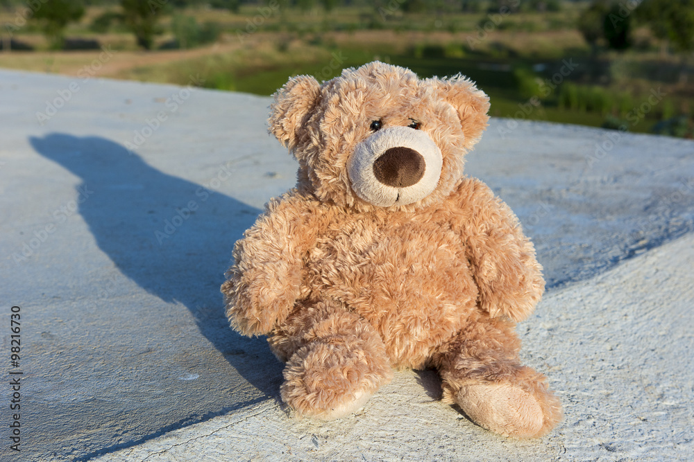 Teddy bear watching sunrise Teddy bear watching sunrise