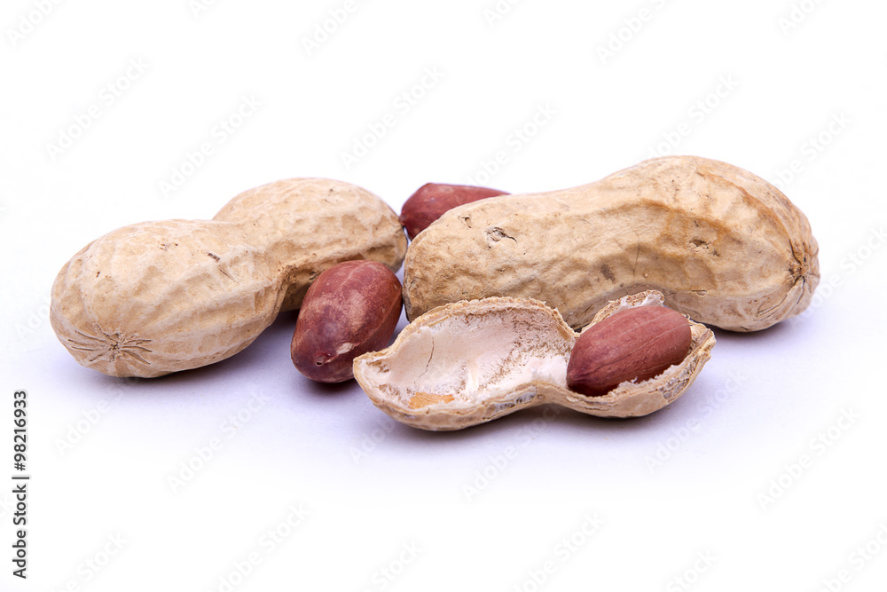 Groundnut on white background