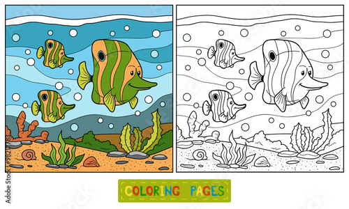 Coloring book (fish family)