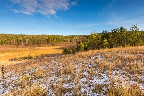 Early winter field landscape