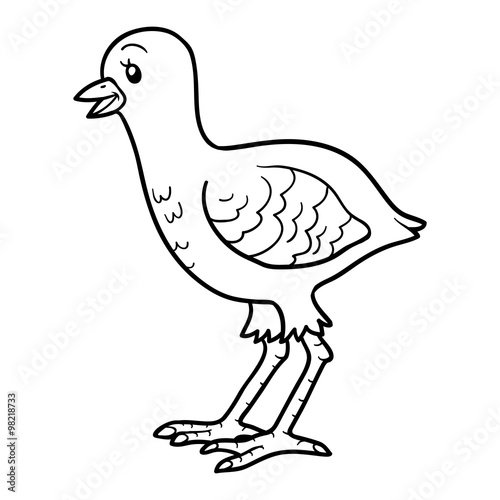 Coloring book (turkey chick)
