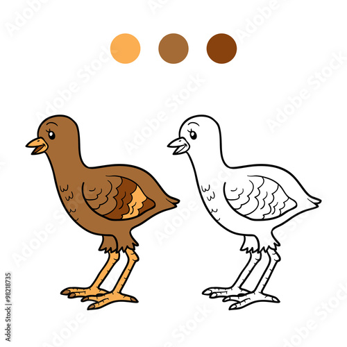 Coloring book (turkey chick)