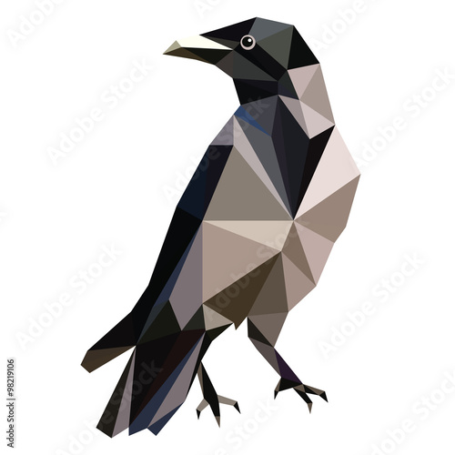 low poly bird vector