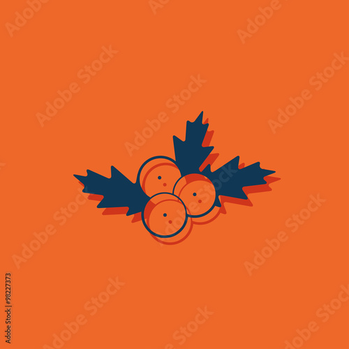 Vector christmas icon.