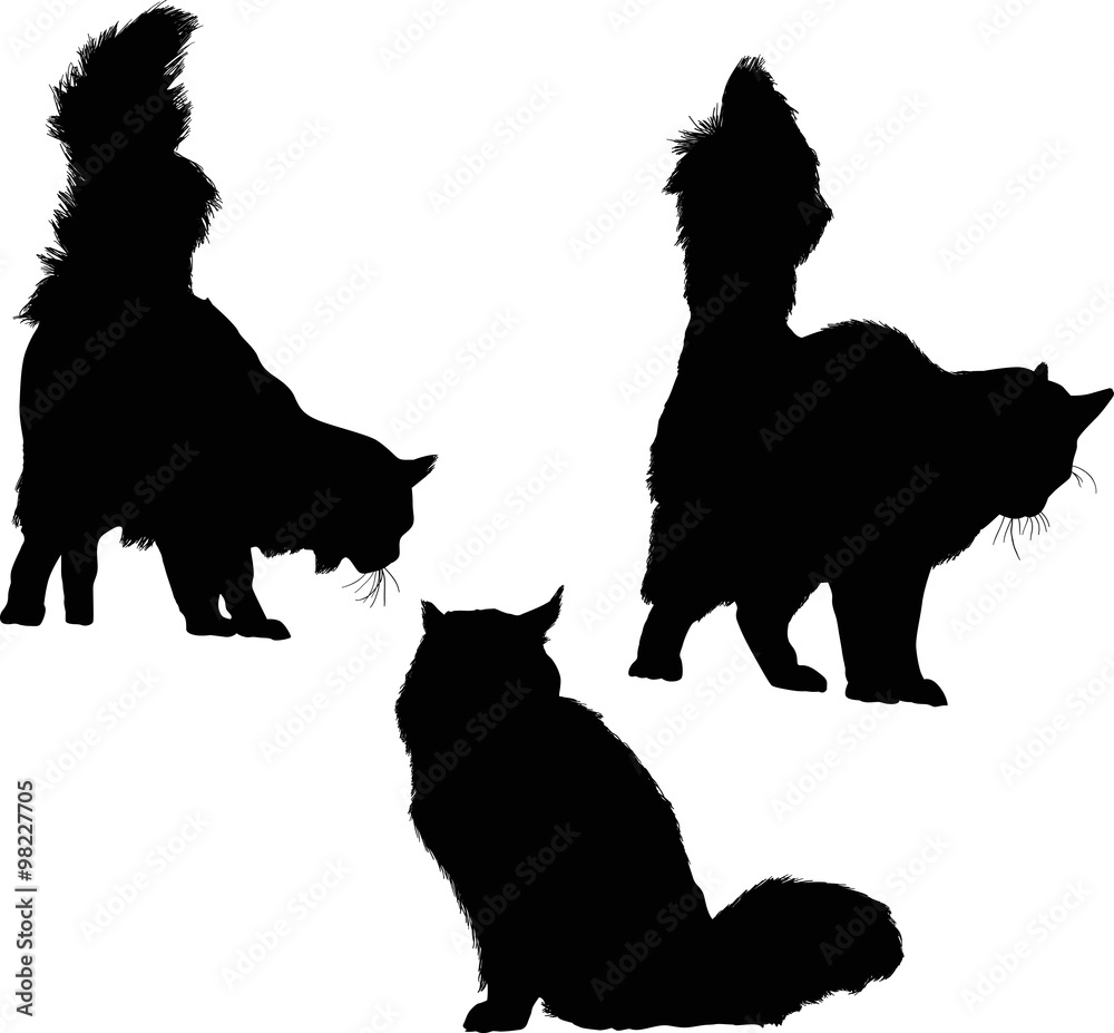 three isolated cat silhouettes collection