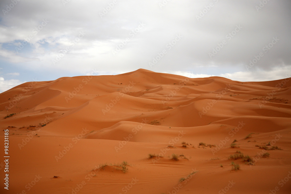 The Sahara8 The Sahara8