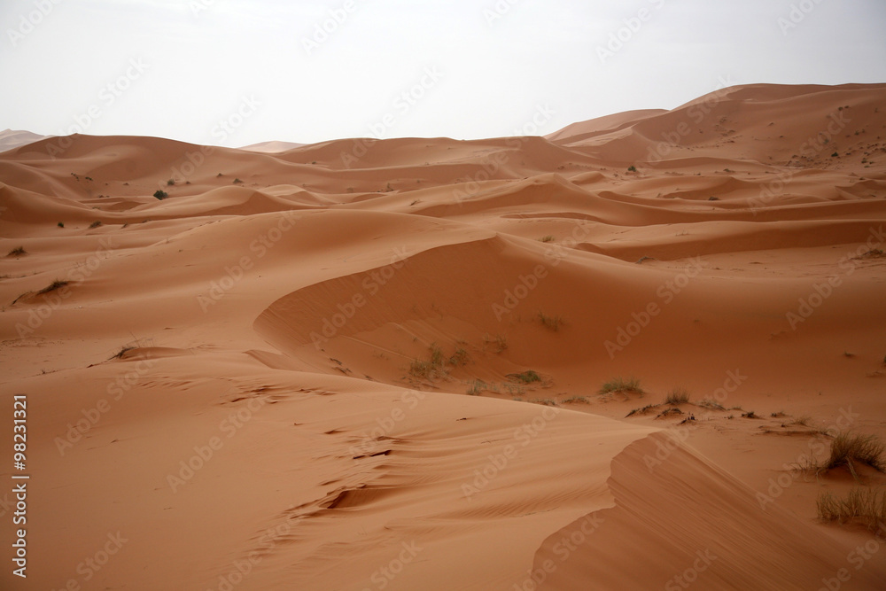 Fototapeta premium The Sahara2