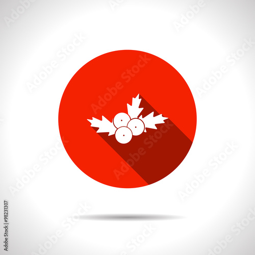 Vector christmas icon.