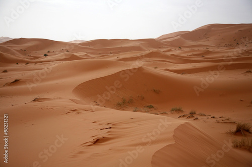 The Sahara2