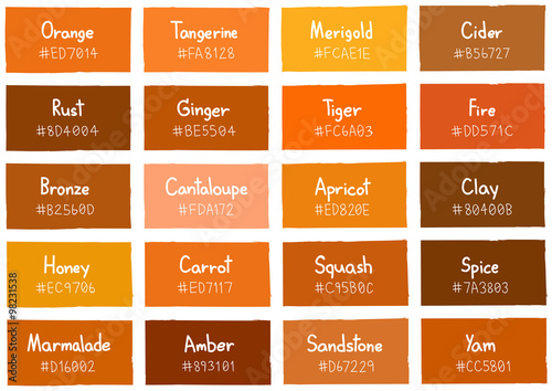 Orange Tone Color Shade Background with Code and Name Illustration