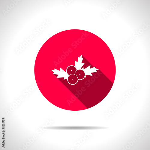 Vector christmas icon.