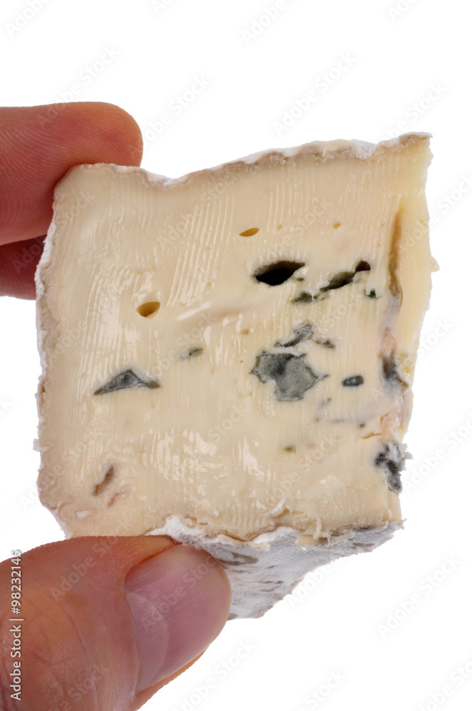 Morceau de fromage persillé en main Morceau de fromage persillé en main