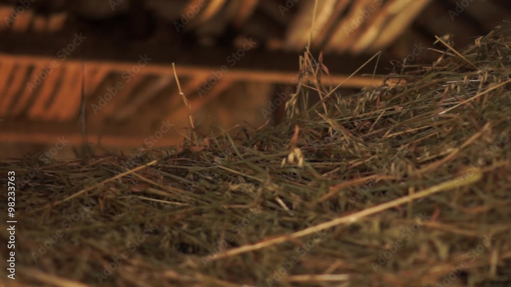 close up of a pile of straw inside of a dark barn - dolly shot close up of a pile of straw inside of a dark barn - dolly shot