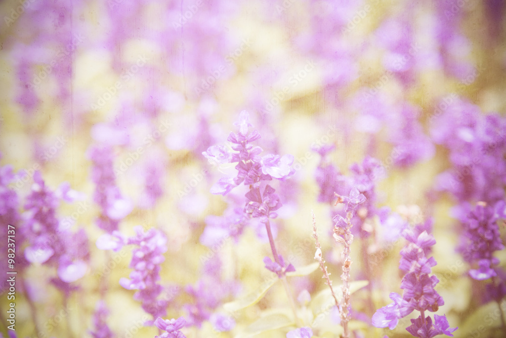 Naklejka premium Vintage flower background