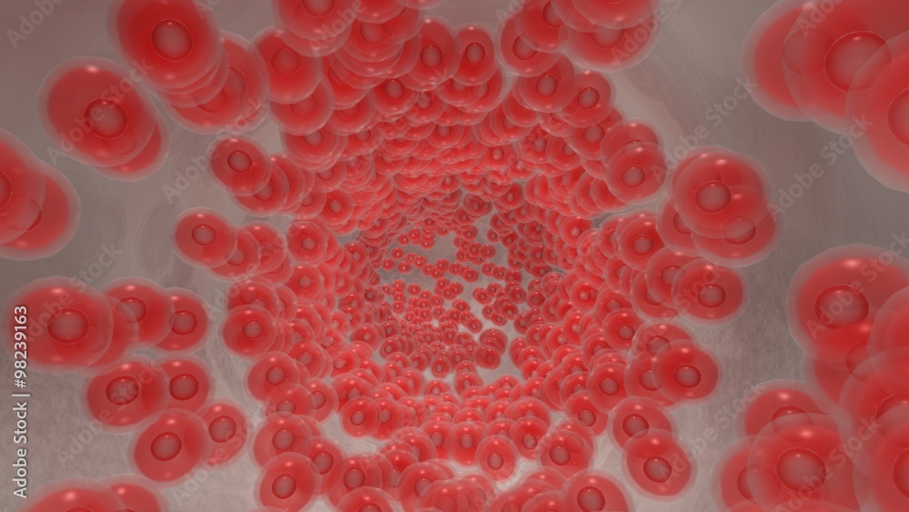 Endoscopic view of flowing red blood cells in a graft Endoscopic view of flowing red blood cells in a graft