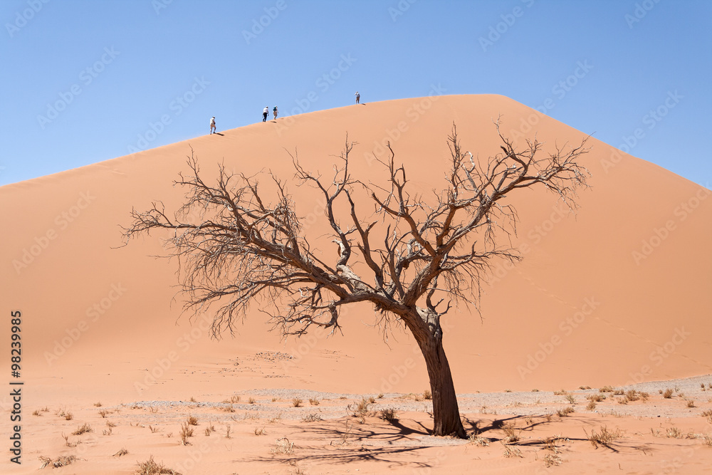 Tourists climb Dune No.45 in the Sossusvlei, Namibia