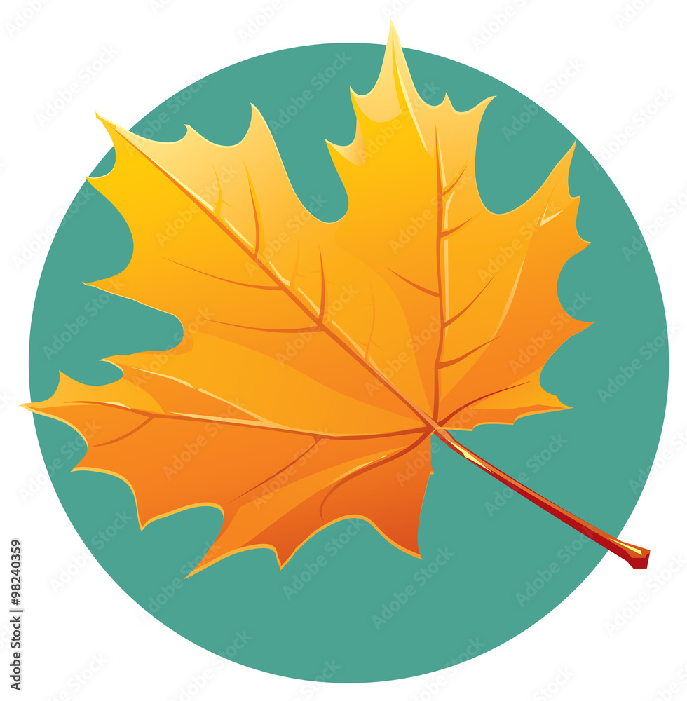 Obraz premium Yellow maple leaf vector illustration